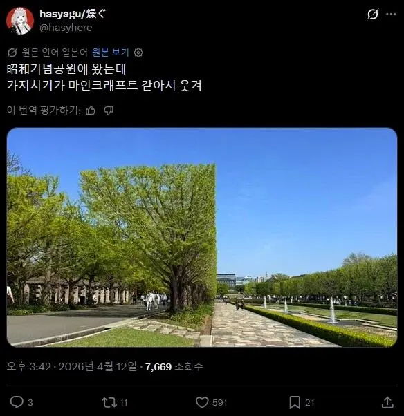 그래픽 버그 생긴 공원 | mbong.kr 엠봉