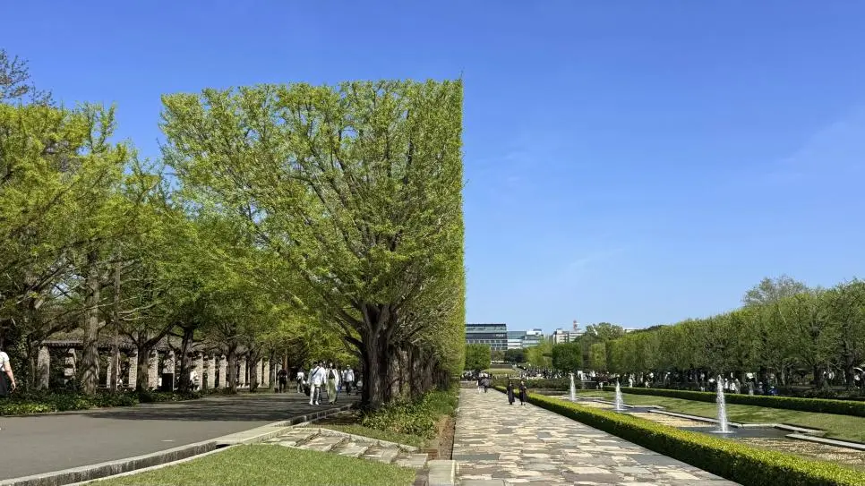 그래픽 버그 생긴 공원 | mbong.kr 엠봉