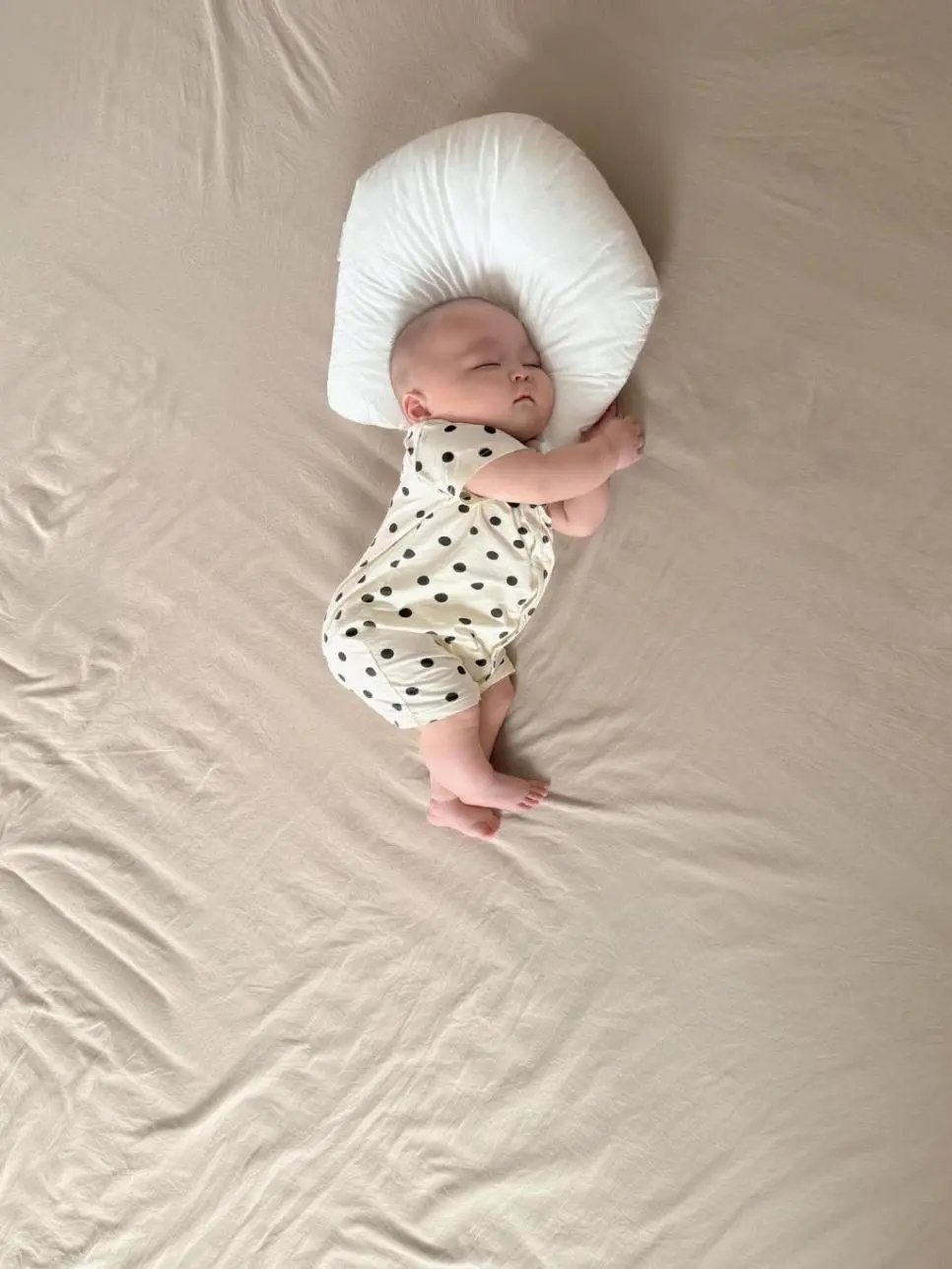 진짜 강낭콩 같아ㅋㅋ어떻게 이렇게 자냐 | mbong.kr 엠봉