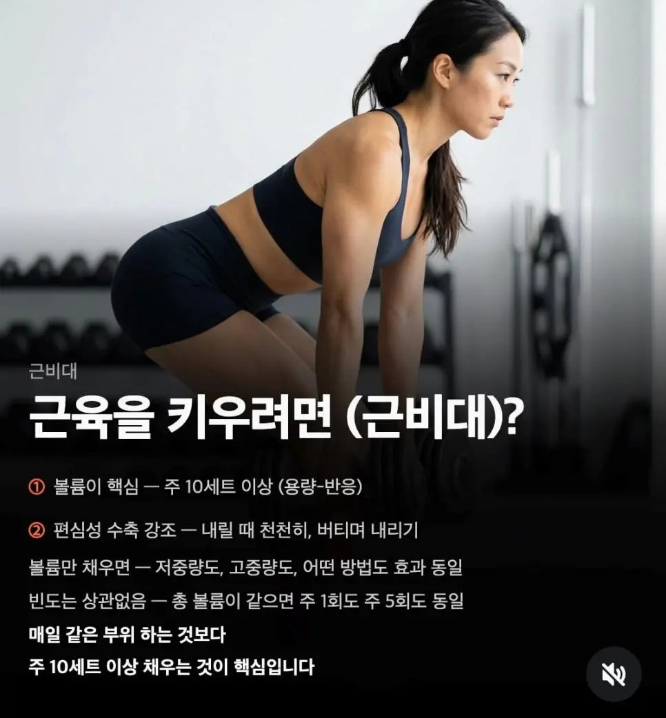 주목할만한 운동 논문 요약 | mbong.kr 엠봉