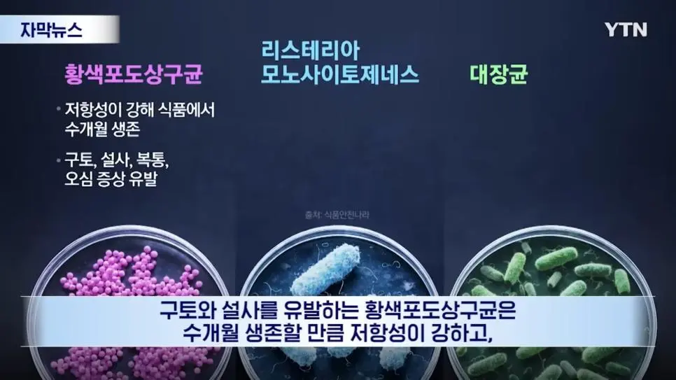 유명 마라탕이 세균탕 | mbong.kr 엠봉