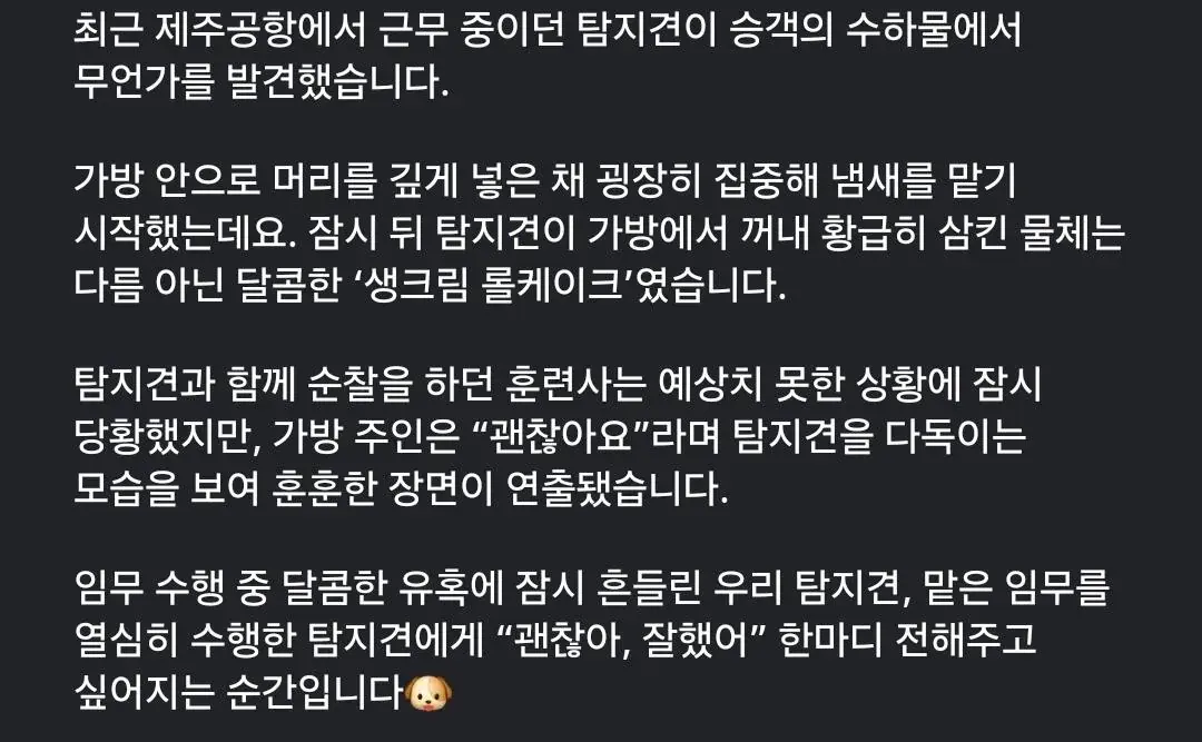 제주공항 탐지견이 발견한 | mbong.kr 엠봉