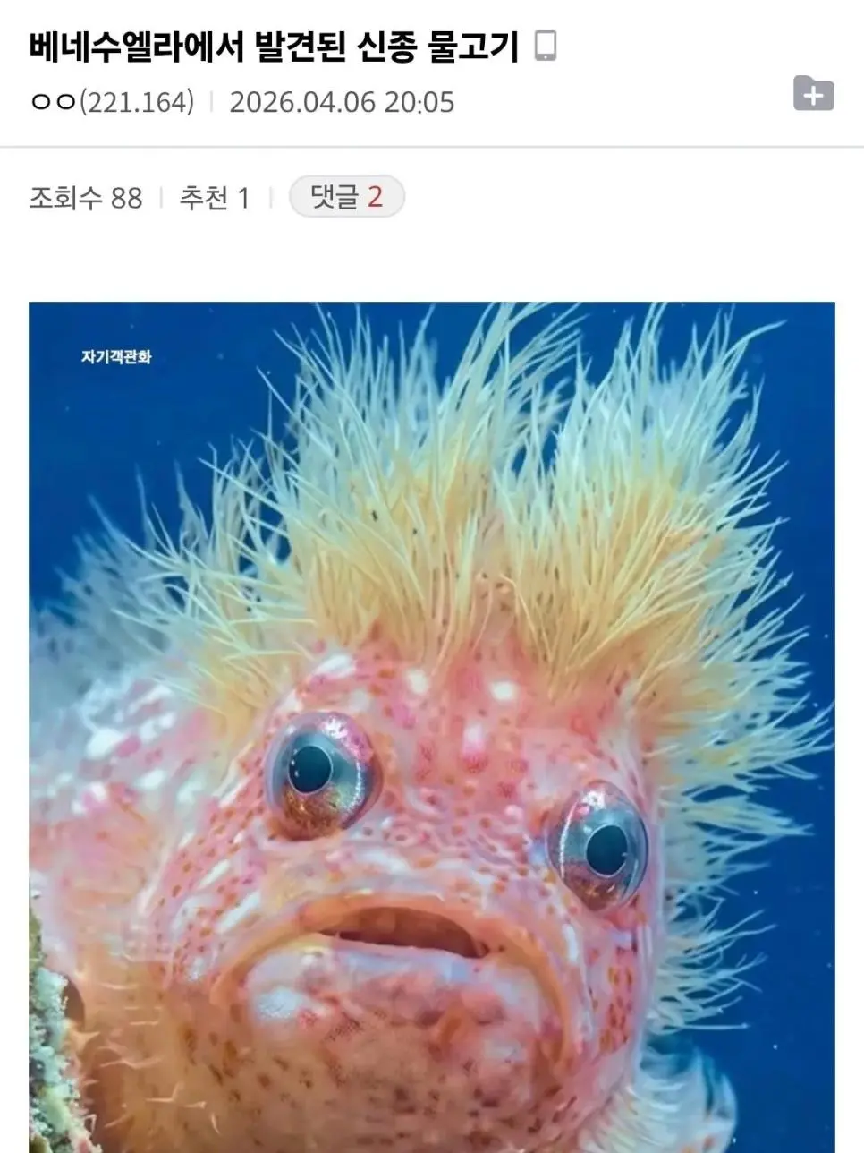 너무못생겨서 충격인 물고기 | mbong.kr 엠봉