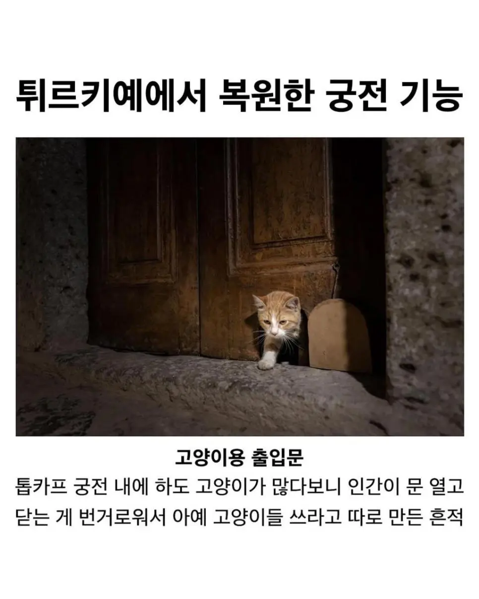 튀르키예 궁전에서 복원한 기능 | mbong.kr 엠봉