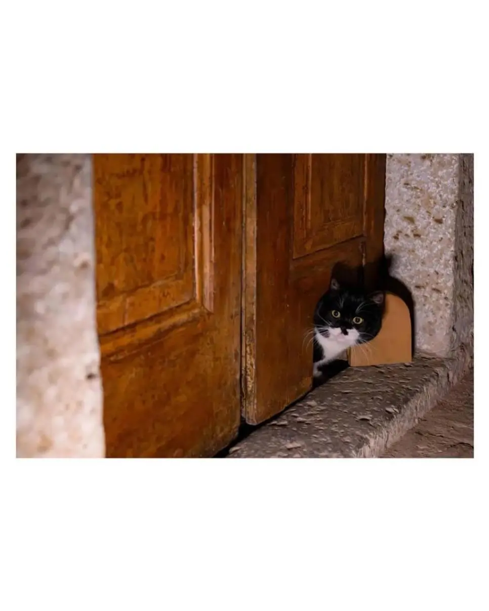 튀르키예 궁전에서 복원한 기능 | mbong.kr 엠봉