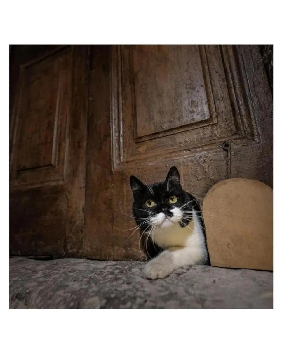 튀르키예 궁전에서 복원한 기능 | mbong.kr 엠봉