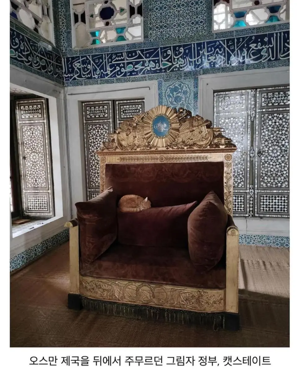 튀르키예 궁전에서 복원한 기능 | mbong.kr 엠봉