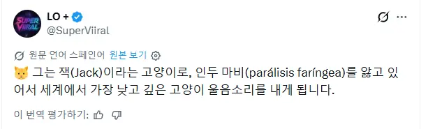 목이 아픈 고양이의 야옹 | mbong.kr 엠봉