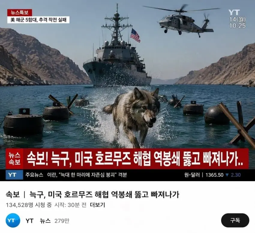 어젯밤 목격된 늑구 실시간 근황.jpg | mbong.kr 엠봉