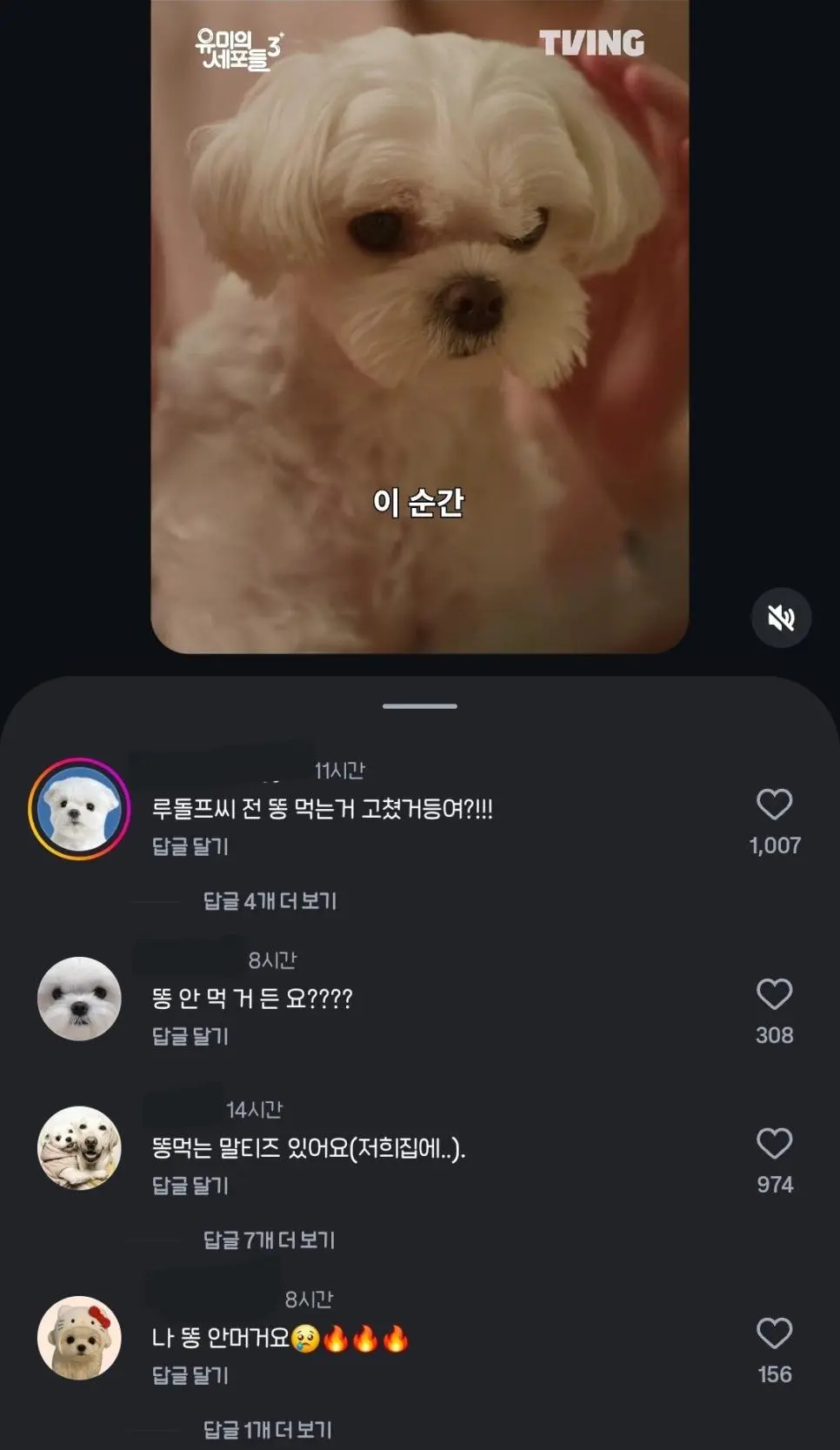 유미의 세포들 보고 전부 긁혀버린 전국 말티즈들 | mbong.kr 엠봉