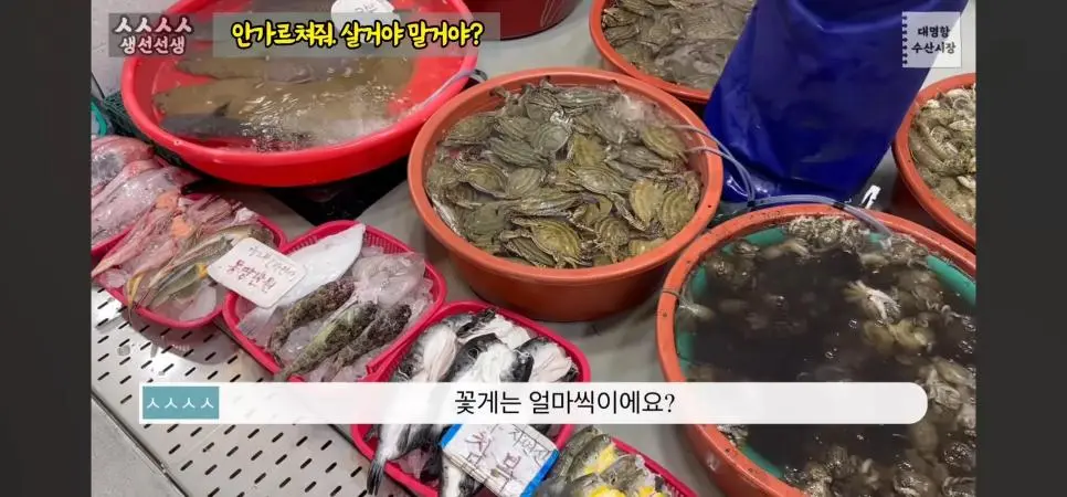 수산시장에서 가격을 물어본 결과 | mbong.kr 엠봉