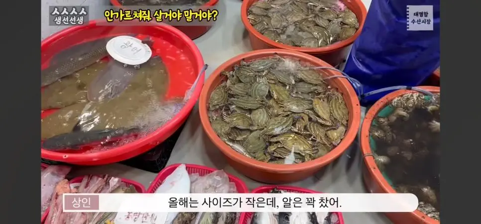 수산시장에서 가격을 물어본 결과 | mbong.kr 엠봉