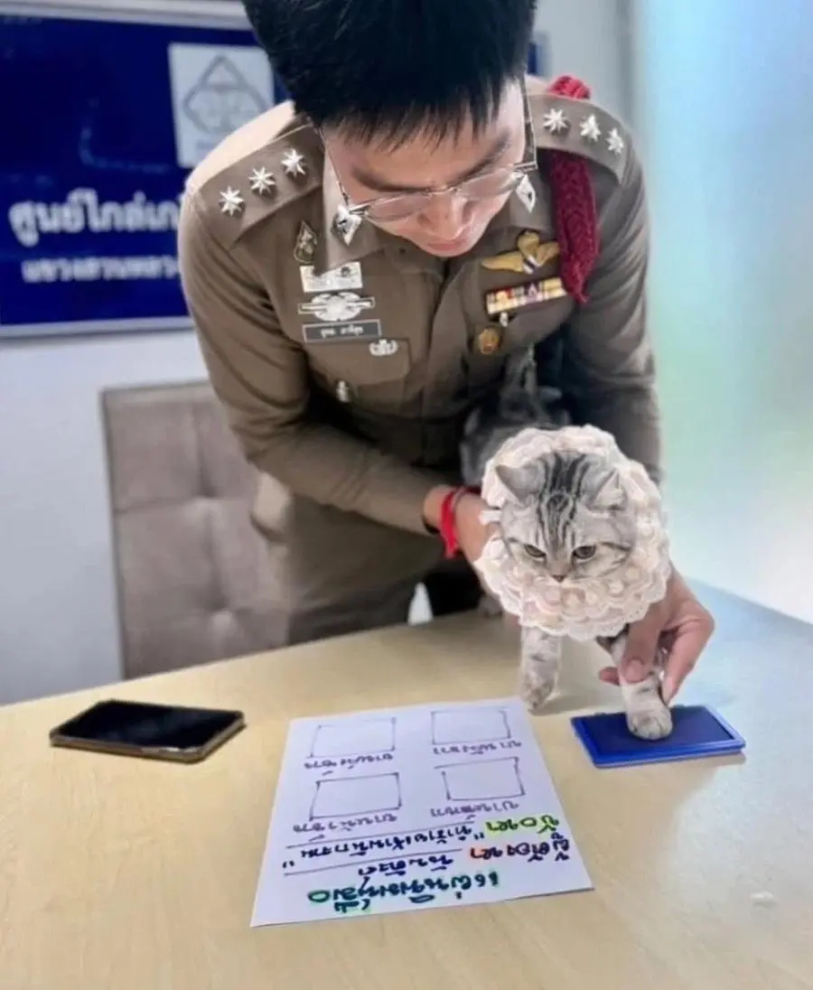 속보 ) 태국에서 경찰관을 물어뜯는 사건발생 | mbong.kr 엠봉