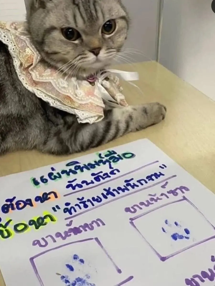 속보 ) 태국에서 경찰관을 물어뜯는 사건발생 | mbong.kr 엠봉