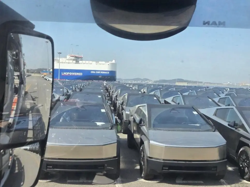 사이버트럭 평택항 실황 | mbong.kr 엠봉