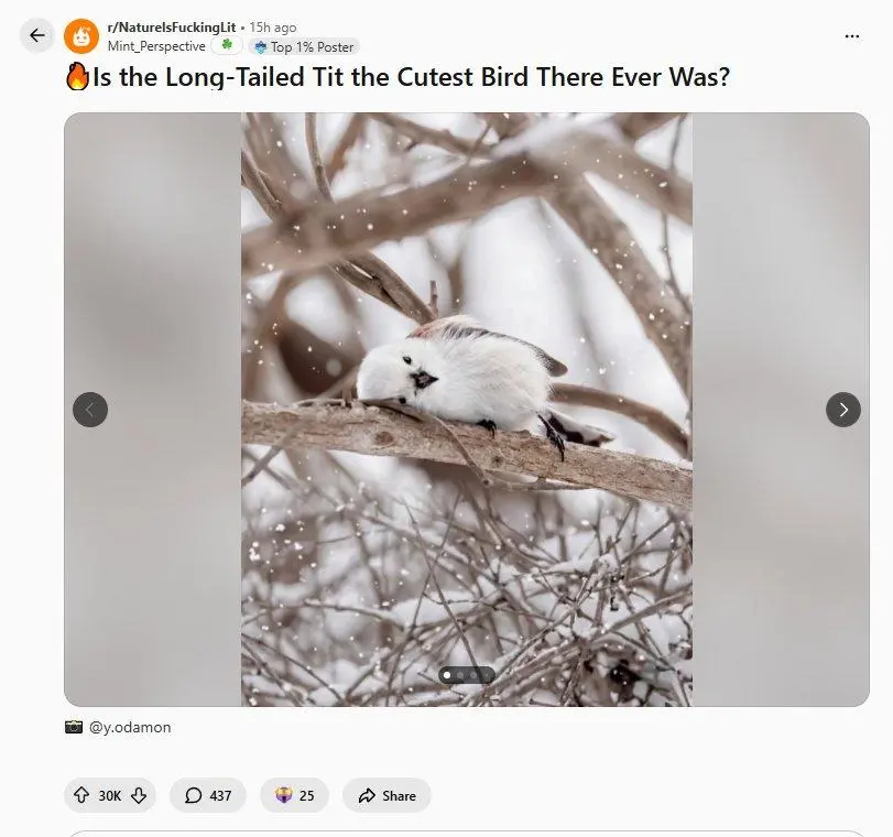 레딧서 핫한 사진 몇장 | mbong.kr 엠봉