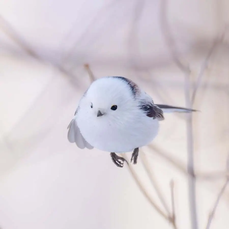 레딧서 핫한 사진 몇장 | mbong.kr 엠봉