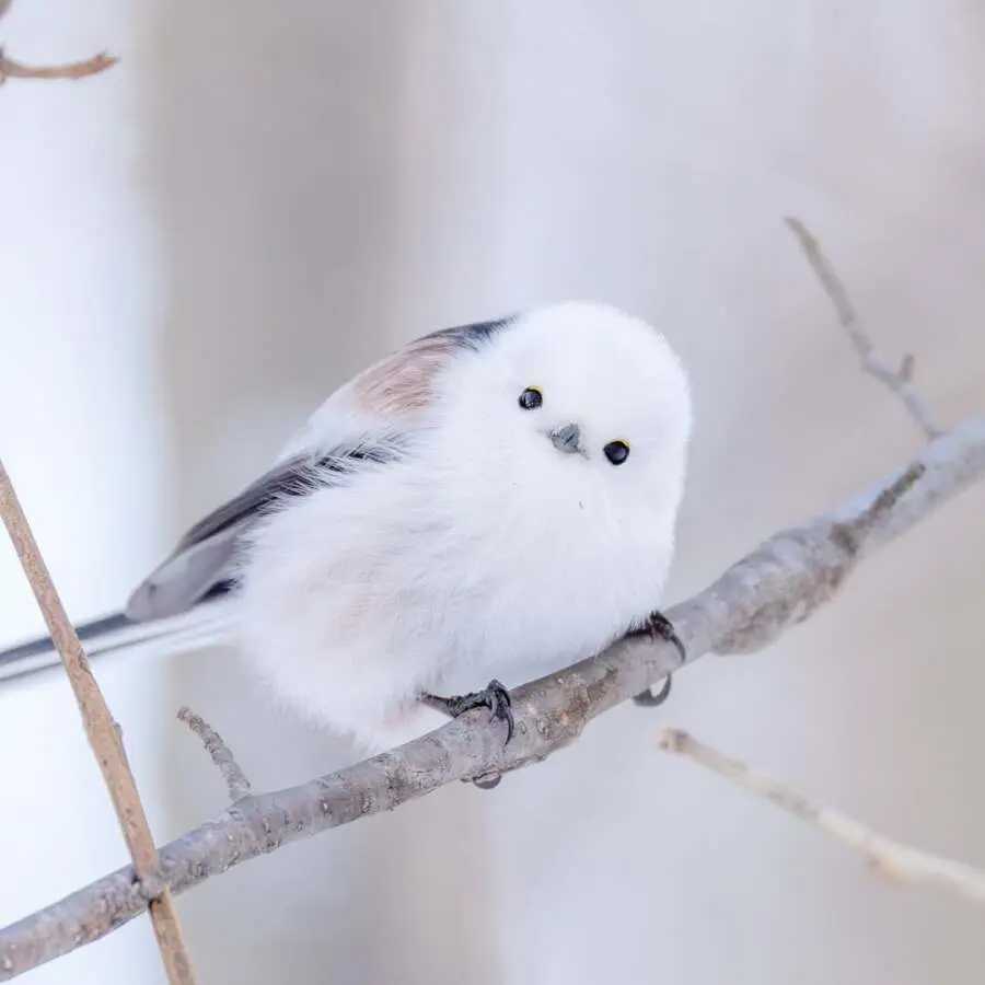 레딧서 핫한 사진 몇장 | mbong.kr 엠봉