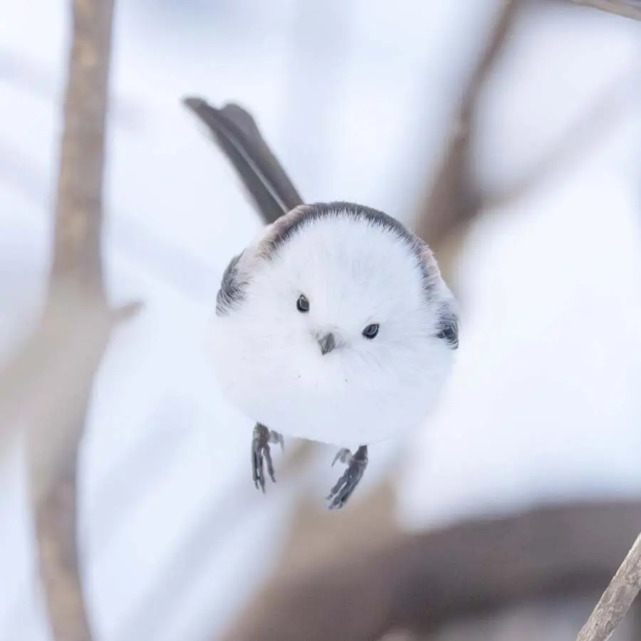 레딧서 핫한 사진 몇장 | mbong.kr 엠봉