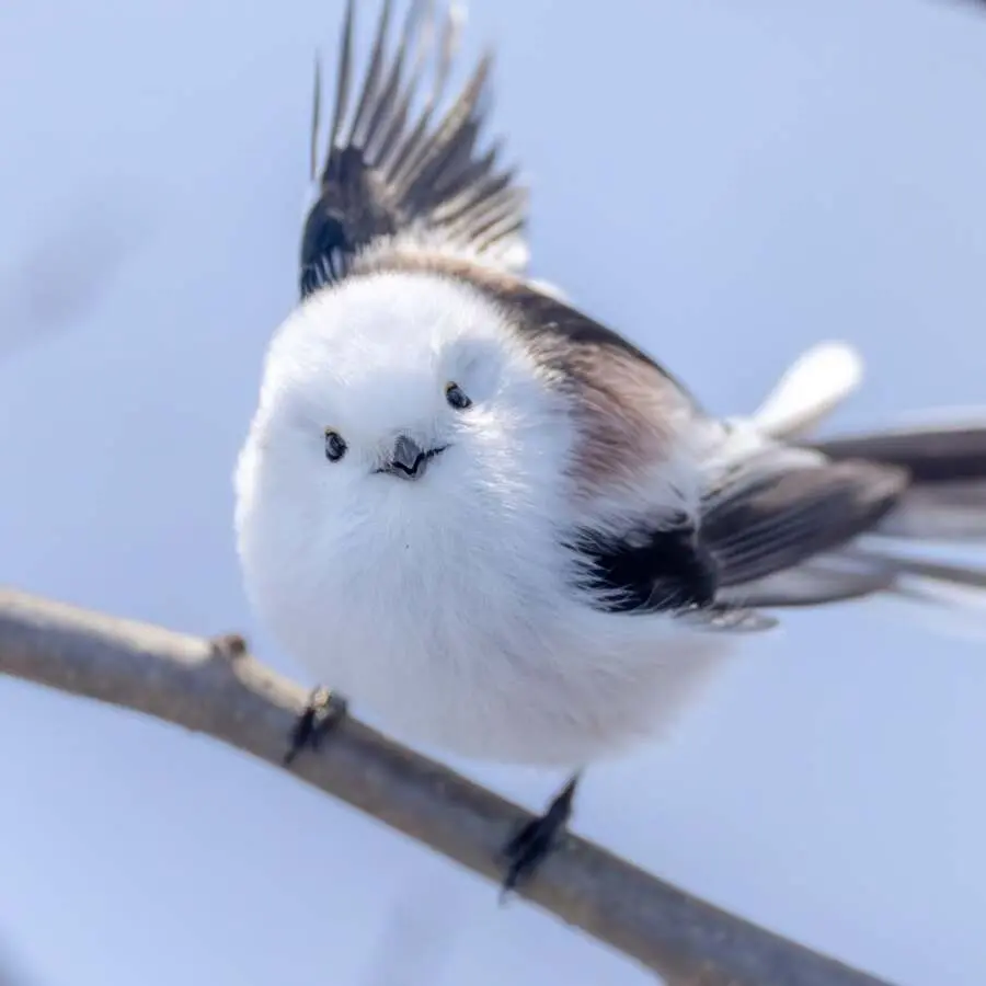 레딧서 핫한 사진 몇장 | mbong.kr 엠봉