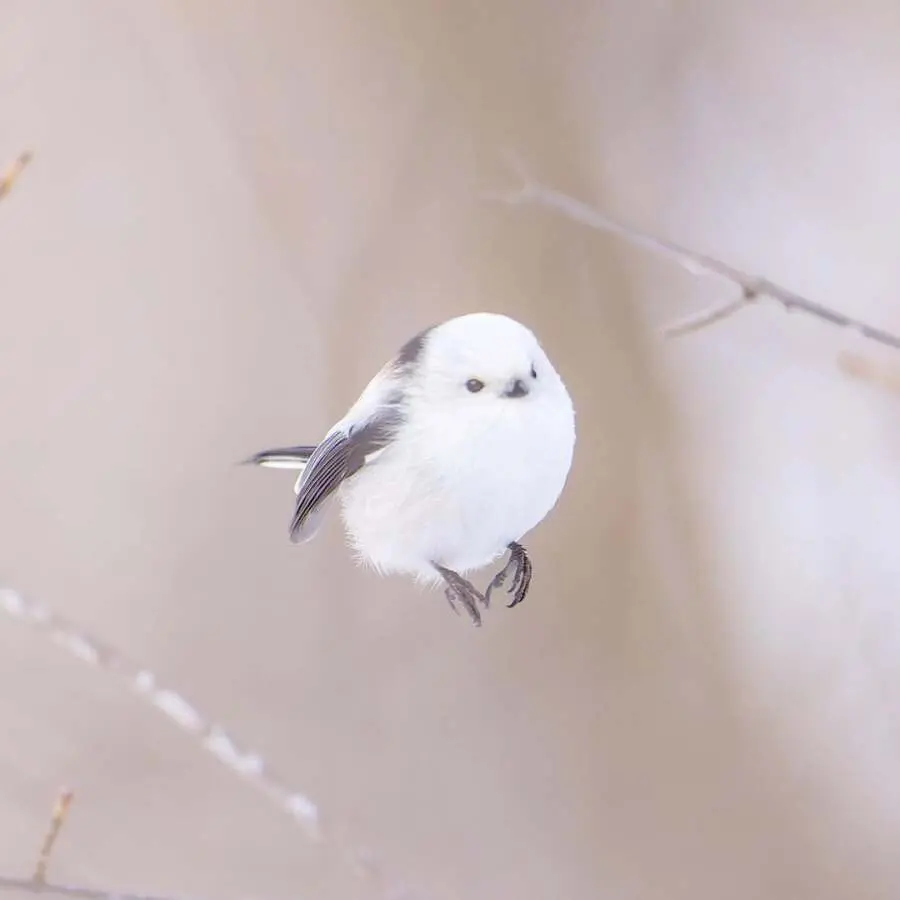 레딧서 핫한 사진 몇장 | mbong.kr 엠봉