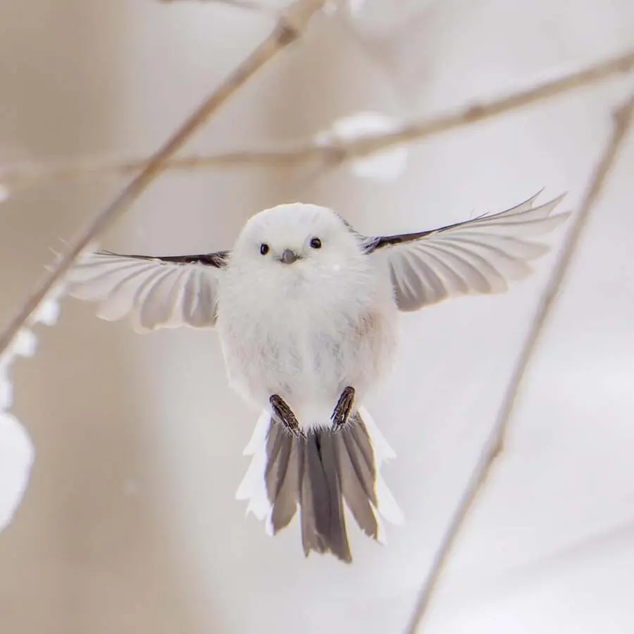 레딧서 핫한 사진 몇장 | mbong.kr 엠봉