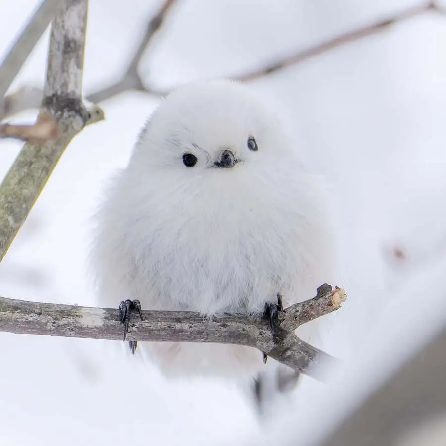 레딧서 핫한 사진 몇장 | mbong.kr 엠봉