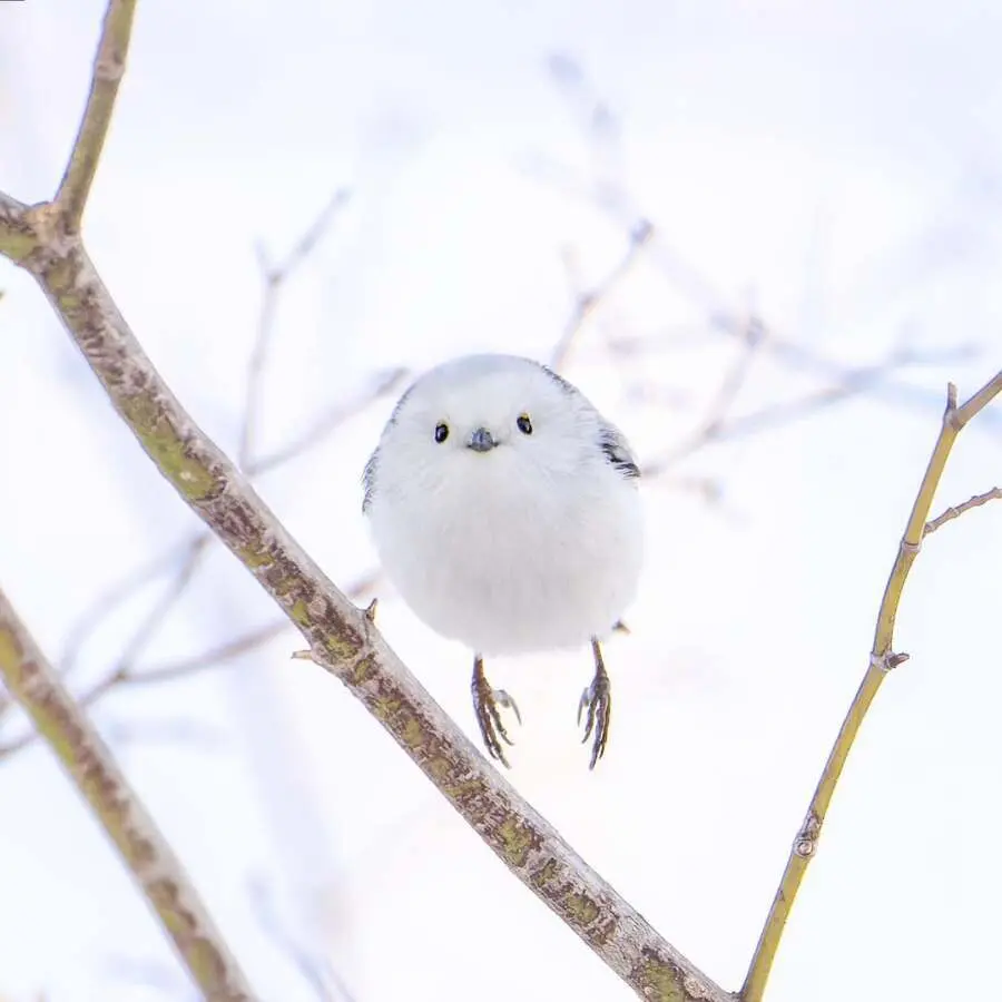 레딧서 핫한 사진 몇장 | mbong.kr 엠봉