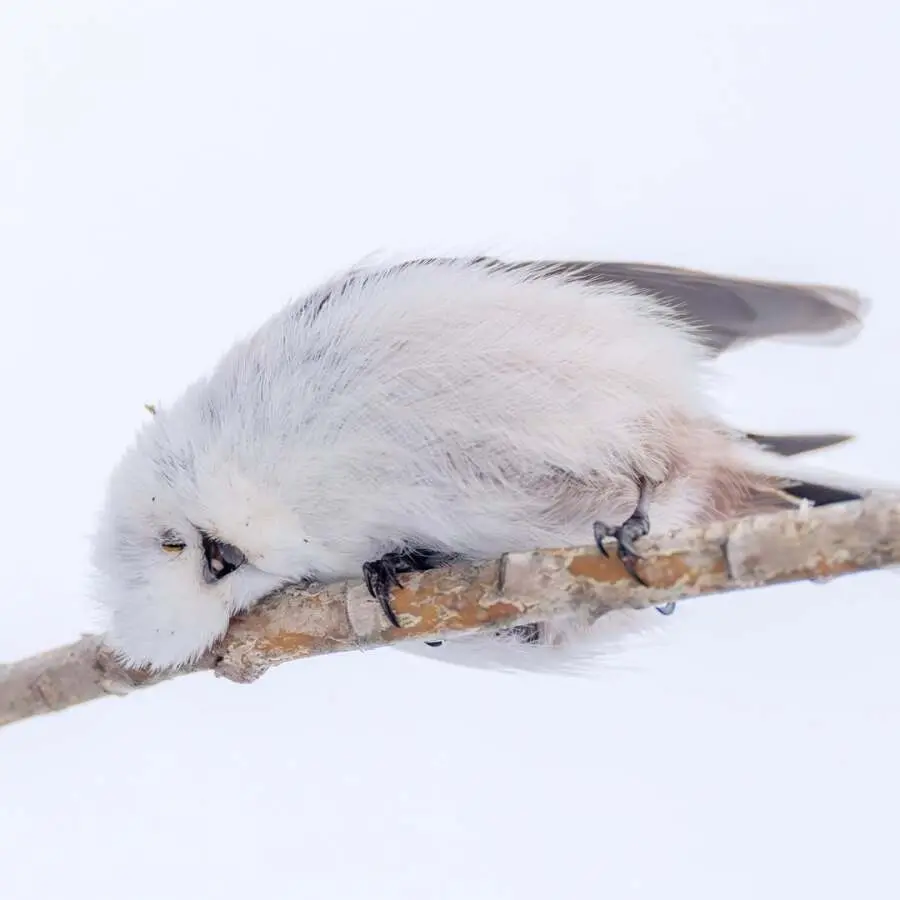 레딧서 핫한 사진 몇장 | mbong.kr 엠봉