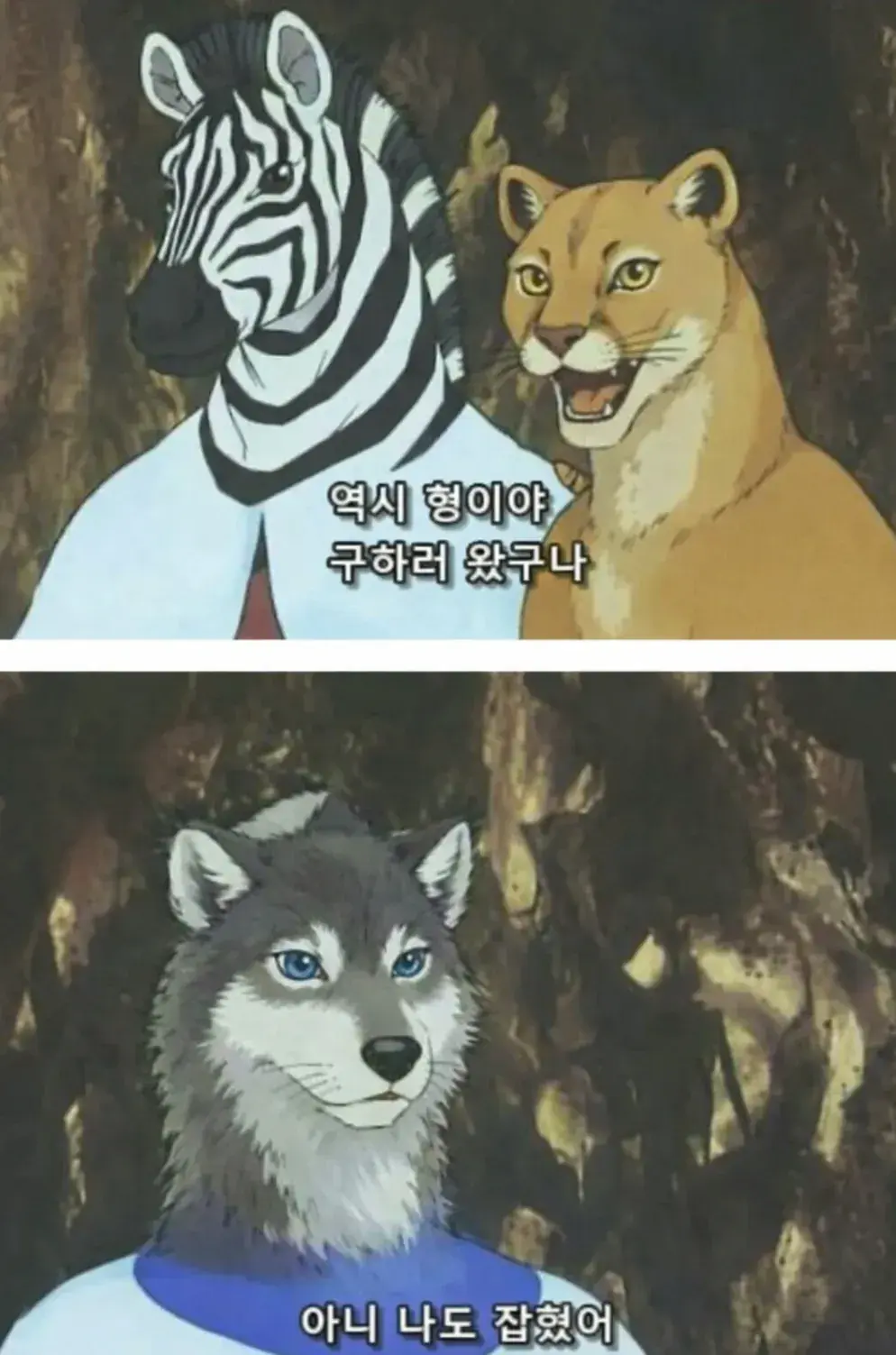 늑구 돌아온 대전 오월드 풍경 예상 | mbong.kr 엠봉