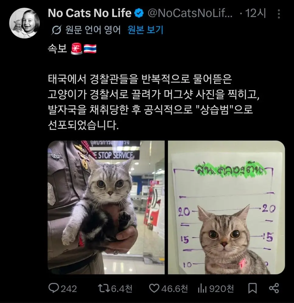 속보 ) 태국에서 경찰관을 물어뜯는 사건발생 | mbong.kr 엠봉