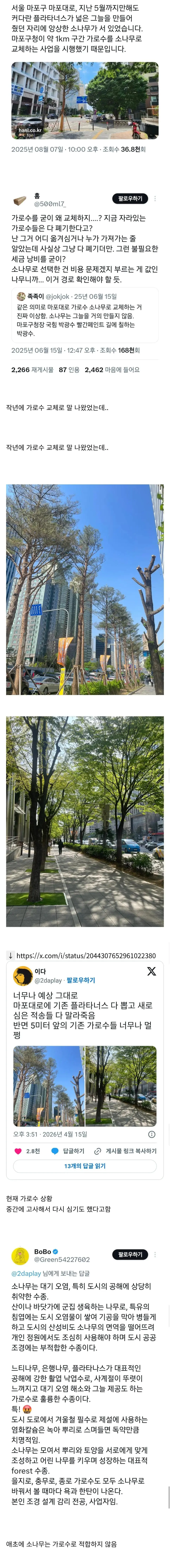 기존의 가로수 다 뽑고 소나무 심은 마포대로 가로수 현재 상태.jpg | mbong.kr 엠봉