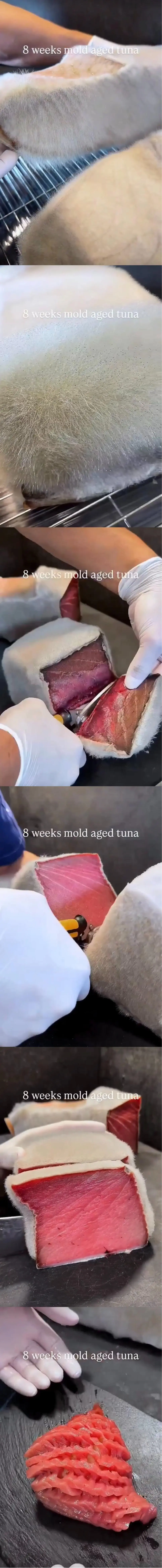 논란의 8주 숙성 참치.jpg | mbong.kr 엠봉