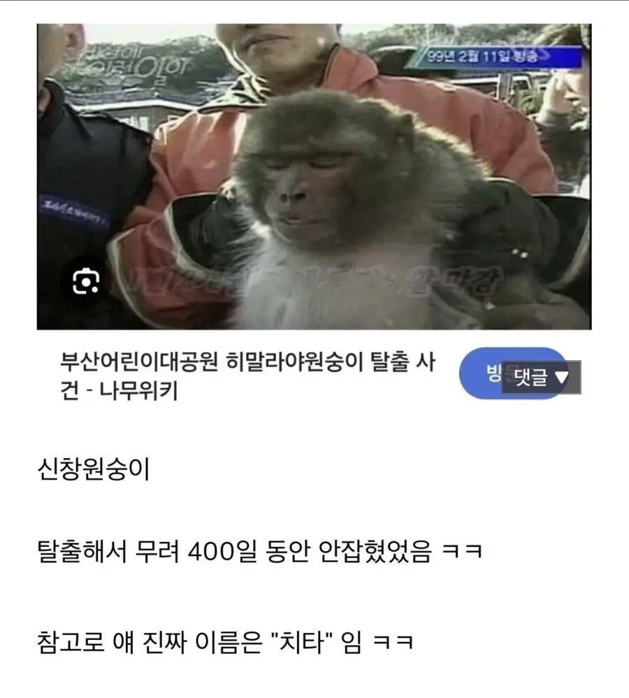 늑구가 탈출한게 별거 아닌 이유 | mbong.kr 엠봉