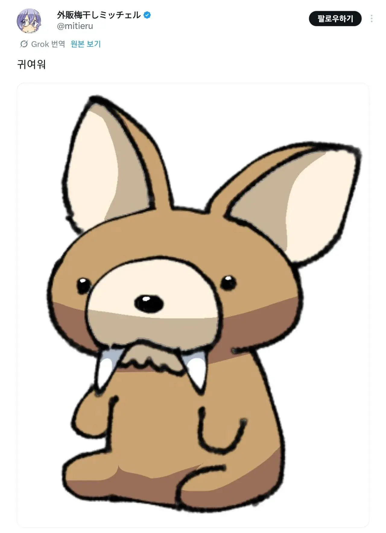 한국에만 사는 동물을 보고 감탄하는 일본인들 | mbong.kr 엠봉