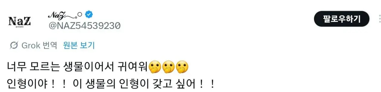 한국에만 사는 동물을 보고 감탄하는 일본인들 | mbong.kr 엠봉