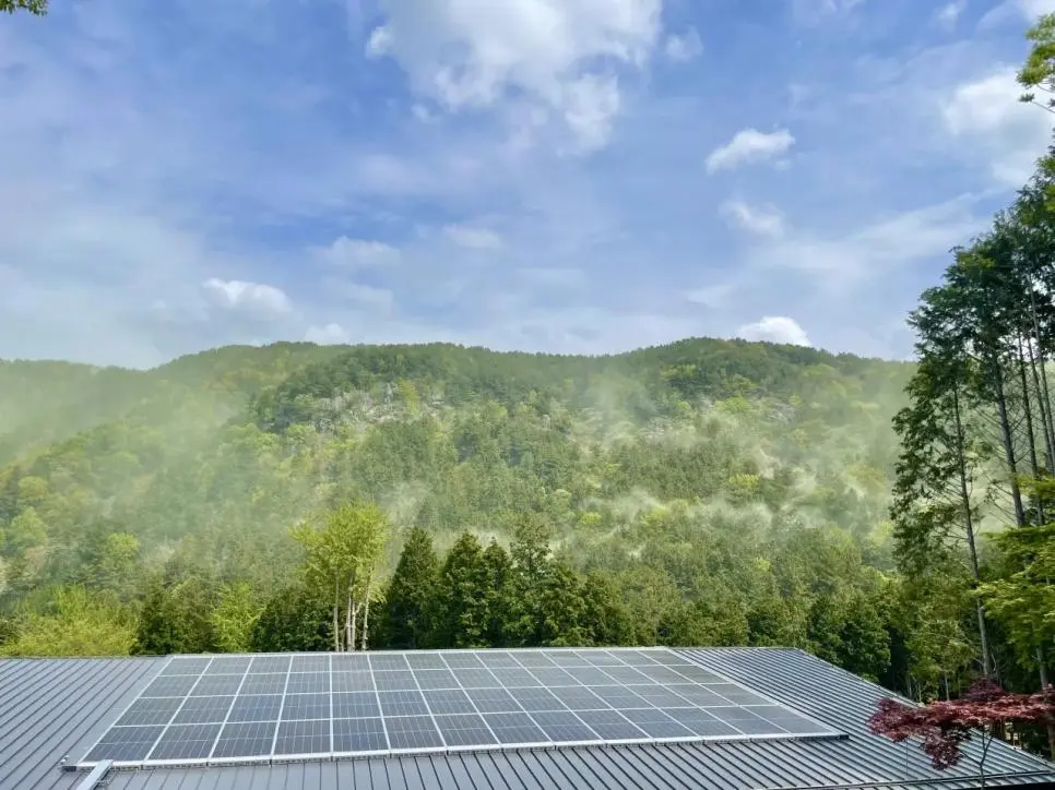 남부지방 소나무 근황 | mbong.kr 엠봉