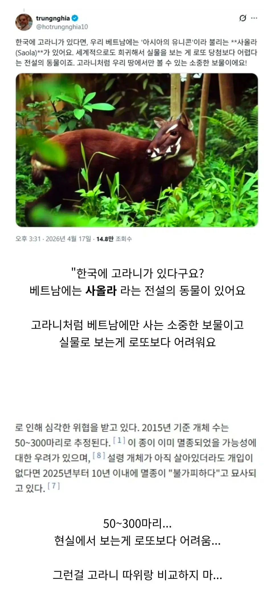 한국에 고라니가 있다니까 베트남의 반응 | mbong.kr 엠봉