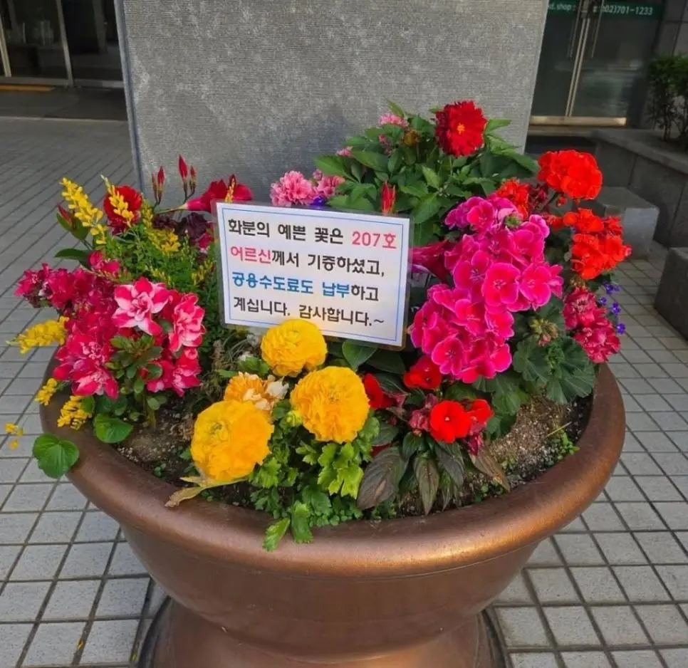 꽃 화분 기증 후 민원 차단까지 하신 어르신.jpg | mbong.kr 엠봉