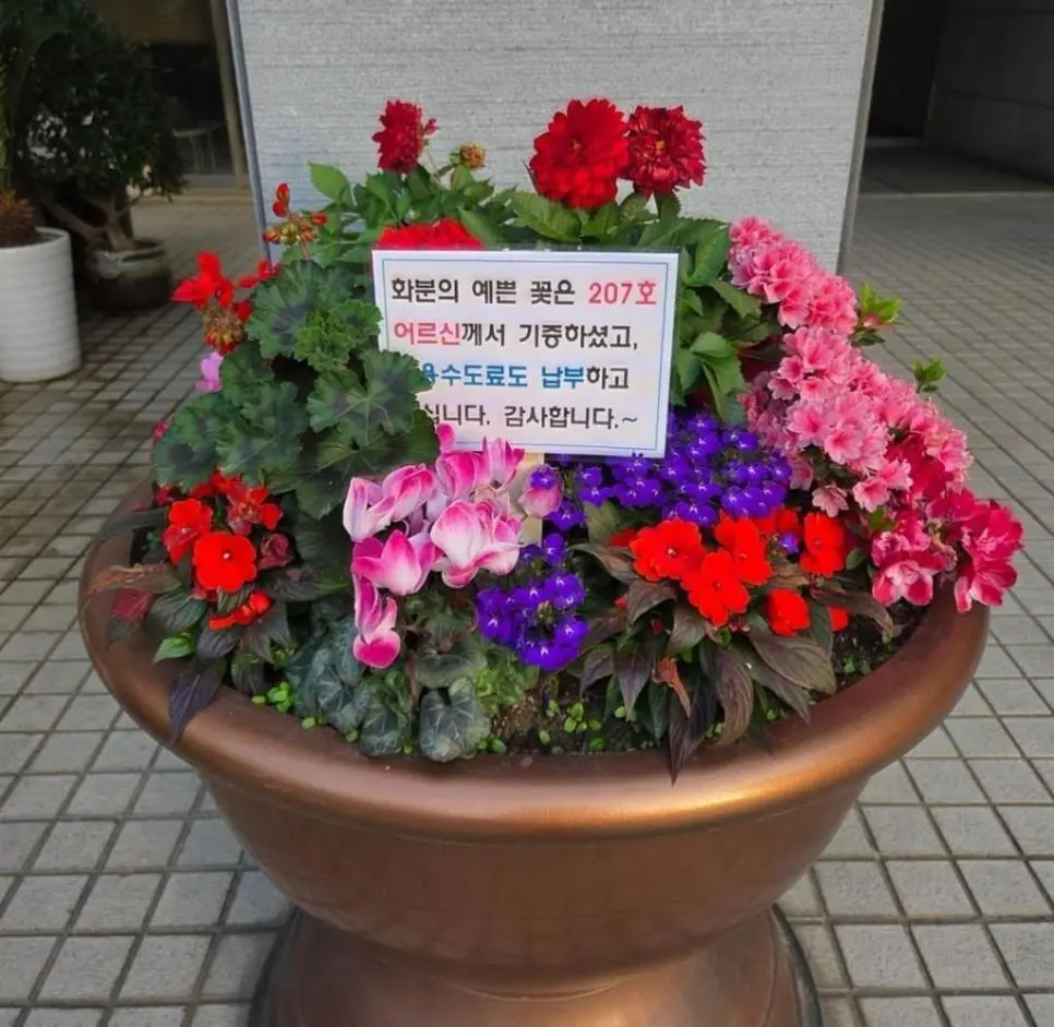 꽃 화분 기증 후 민원 차단까지 하신 어르신.jpg | mbong.kr 엠봉