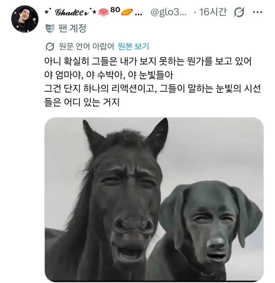 변우석 연기 못한다고 말했다가 욕먹었다는 단군 | mbong.kr 엠봉