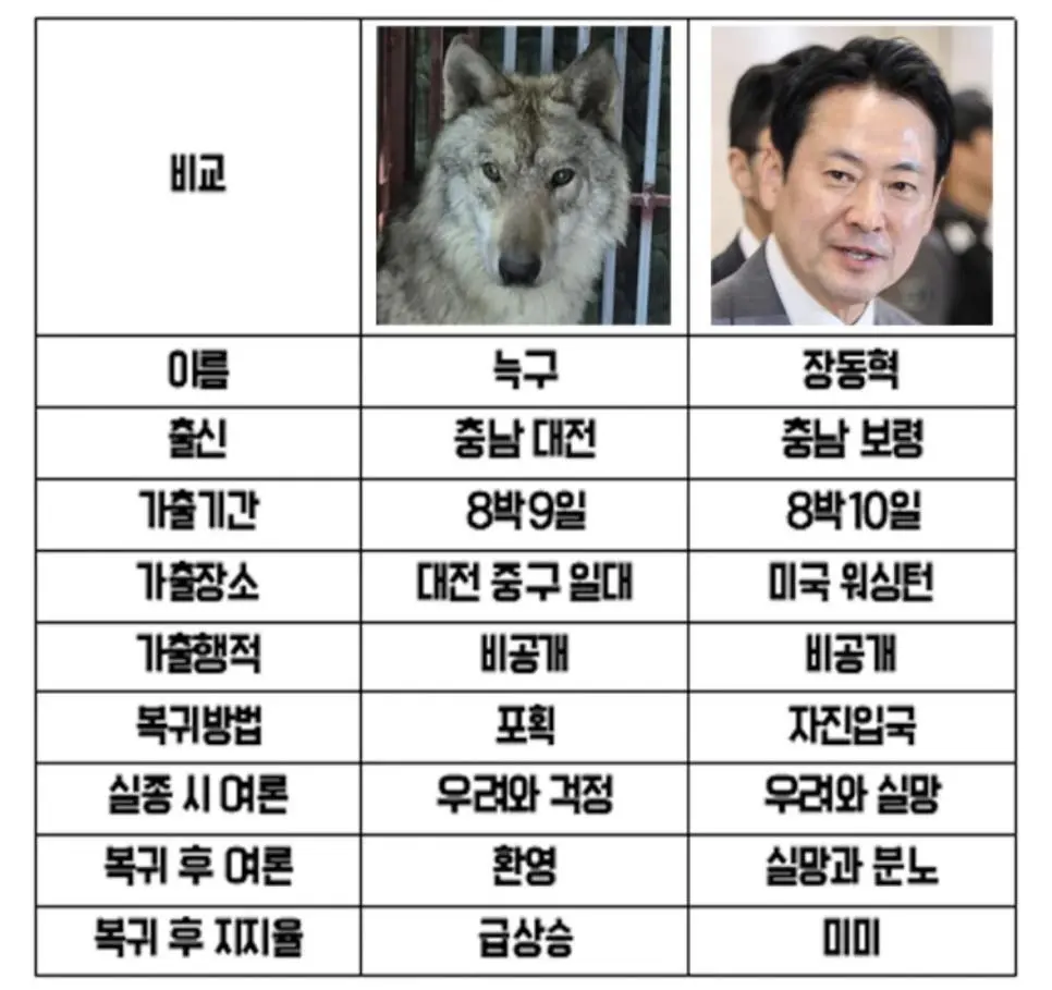 장동혁이랑 늑구랑 비교 ㄷㄷㄷㄷ | mbong.kr 엠봉