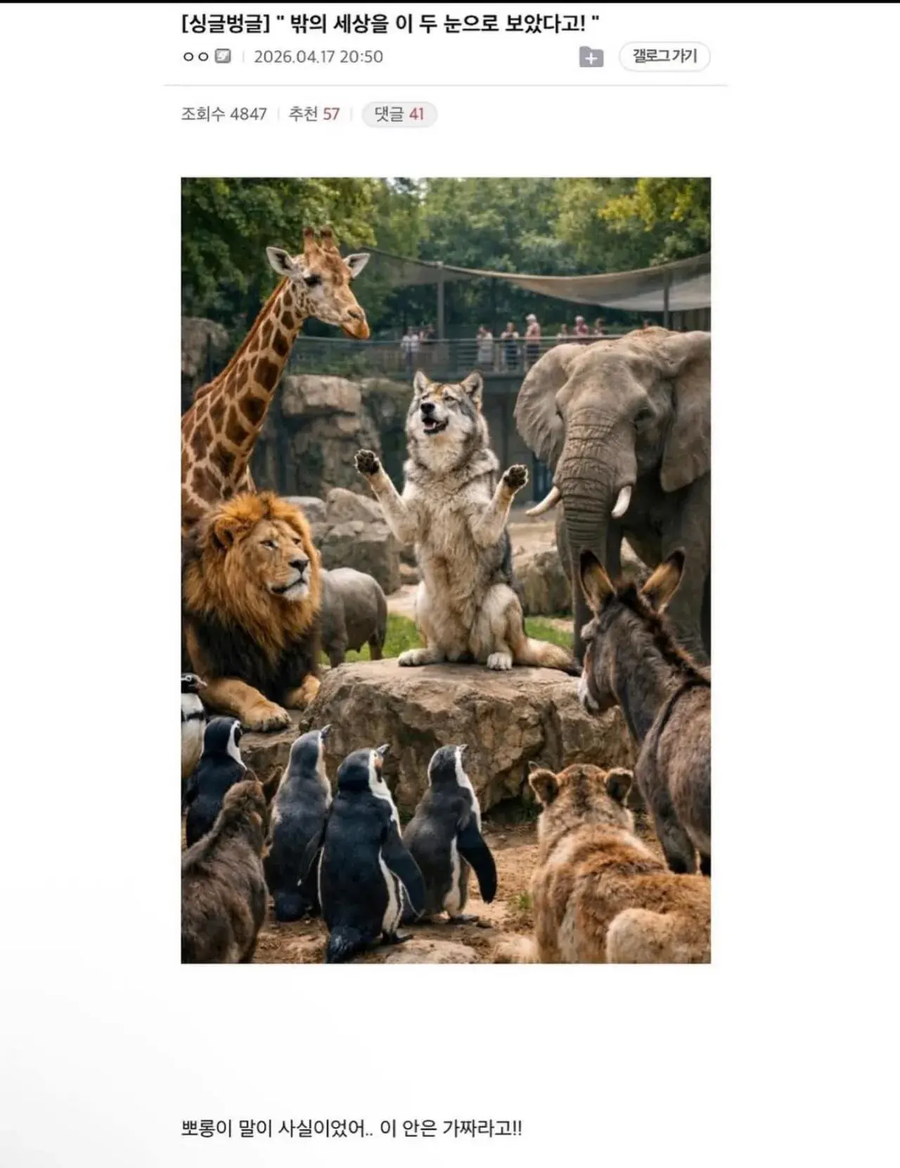 실시간 대전오월드 동물들.jpg | mbong.kr 엠봉