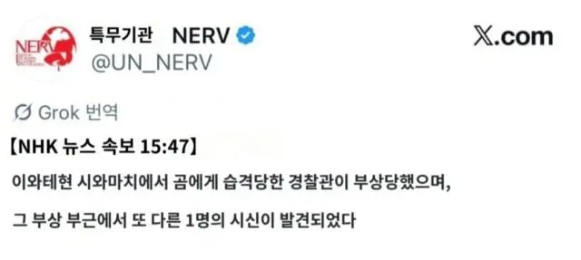 NHK 속보) 일본 경찰관 곰한테 습격 | mbong.kr 엠봉