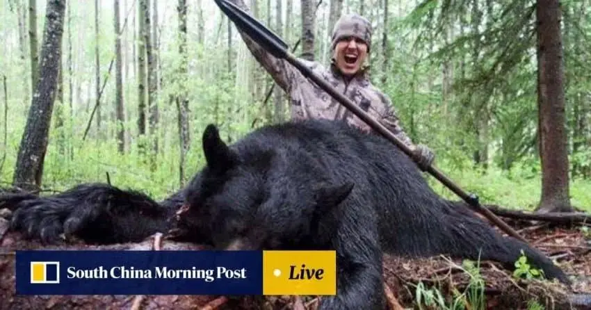 요새 미국서 유행하는 곰사냥 방식 | mbong.kr 엠봉