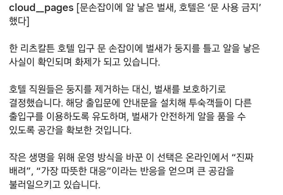 벌새가 문 손잡이에 둥지를 틀자 호텔측 대응.jpg | mbong.kr 엠봉