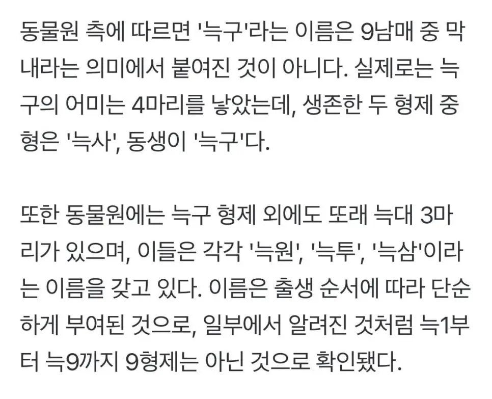 충격적인 늑구 형제들 이름 | mbong.kr 엠봉