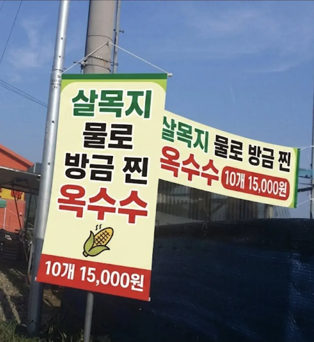 귀신물로 우린 옥수수 팝니다 | mbong.kr 엠봉