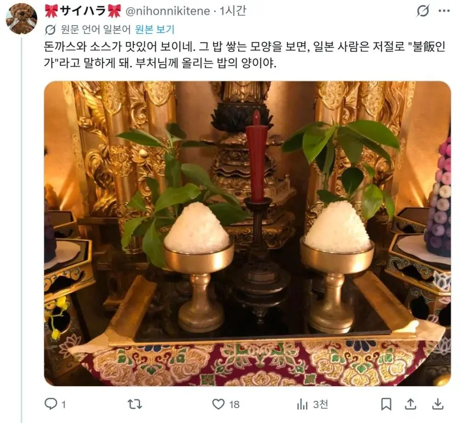 한국 돈까스 밥에 대한 일본인들 반응 | mbong.kr 엠봉