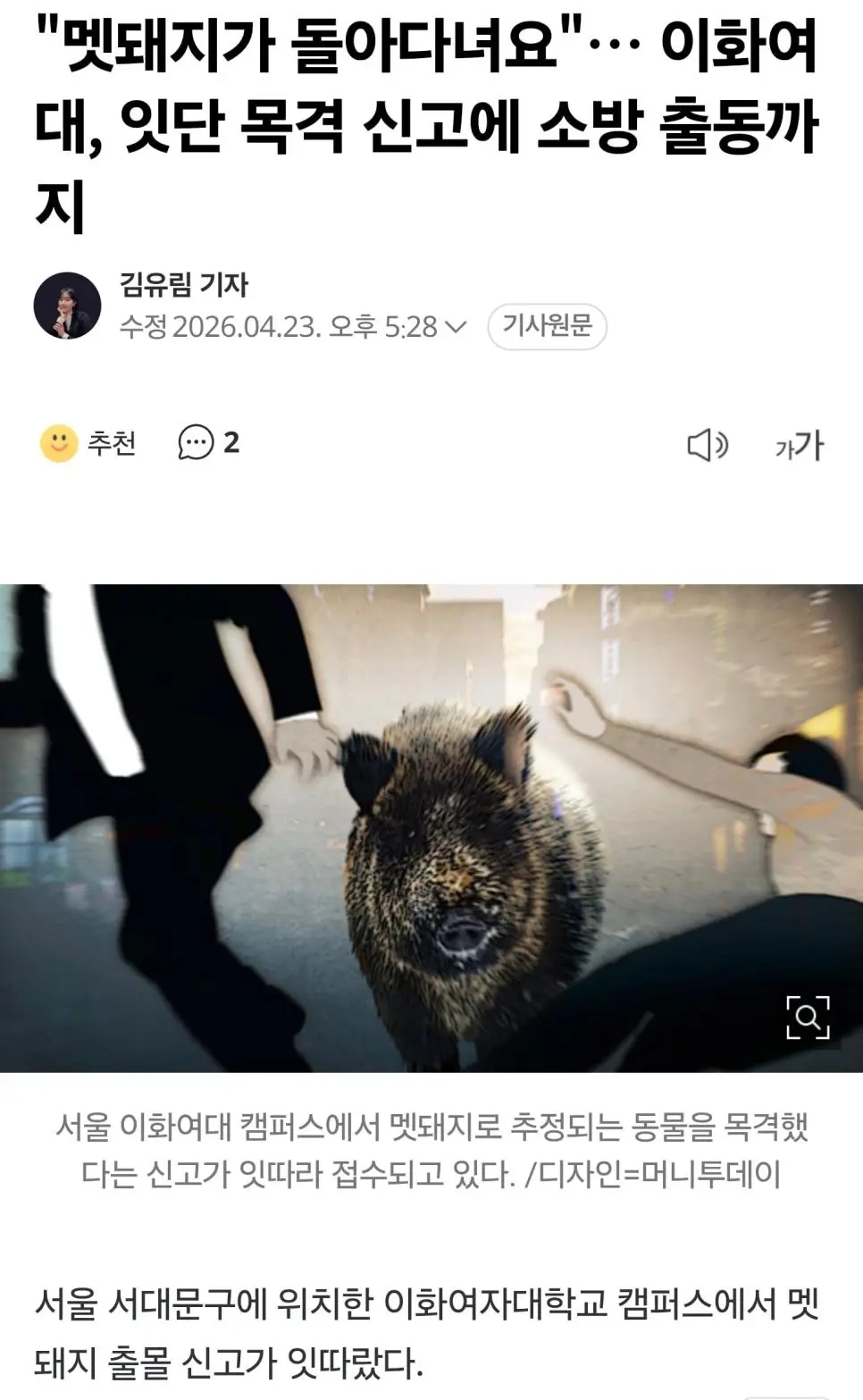 [긴급] 이화여대 멧돼지 출몰 주의 안내 | mbong.kr 엠봉